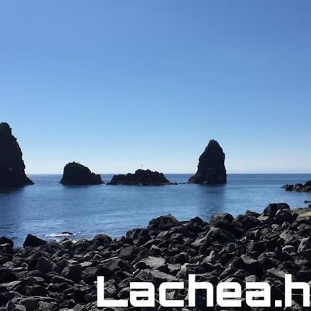 Lachea House Appartamento Sul Mare Dei Ciclopi Aci Castello Dış mekan fotoğraf